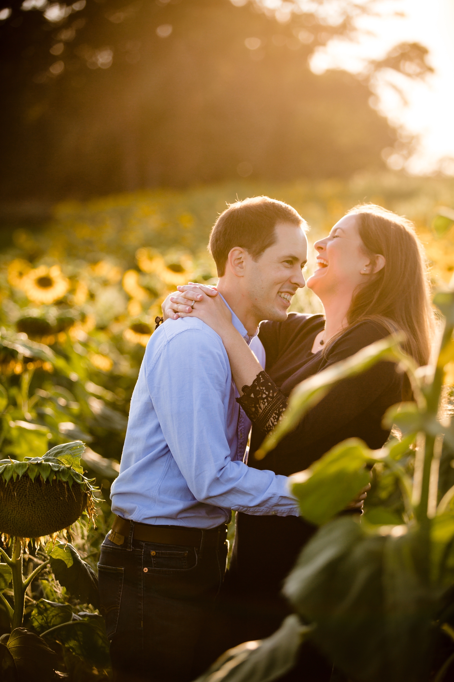 Pope farm sunflower engagement pictures