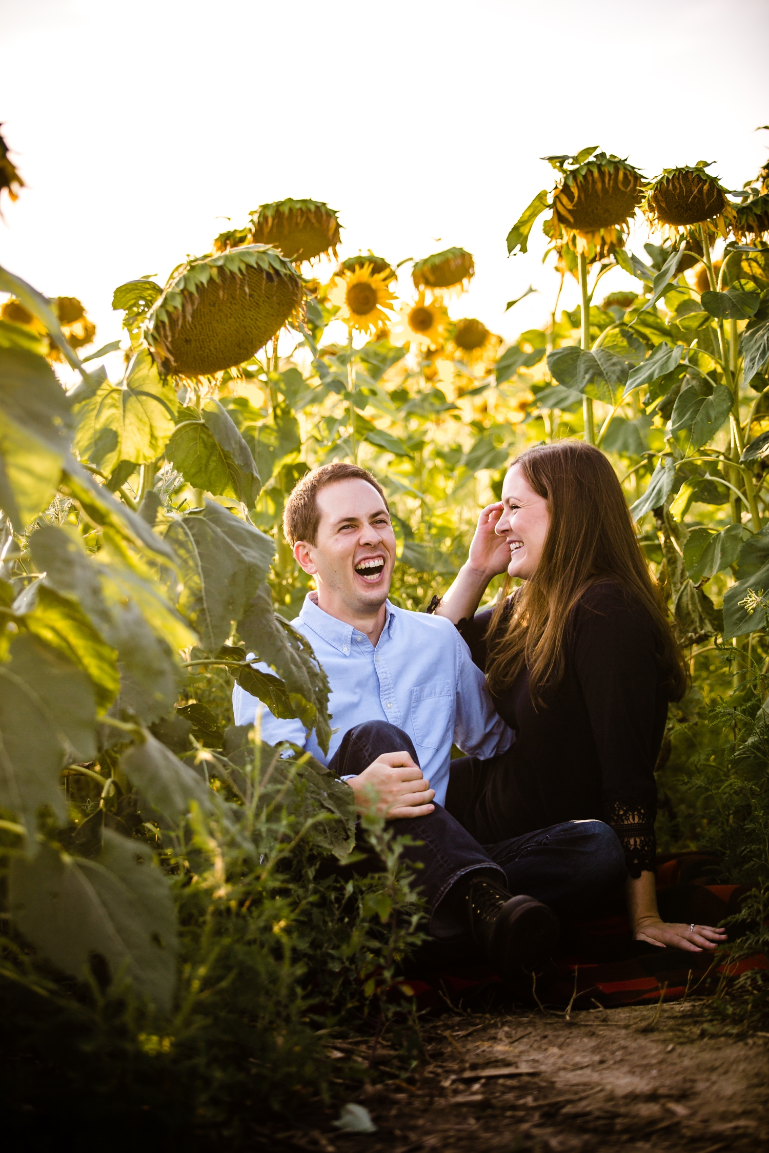 Pope farm sunflower engagement pictures