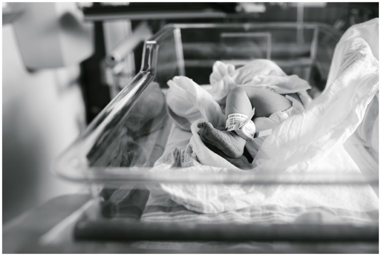 Milwaukee Newborn Photographer